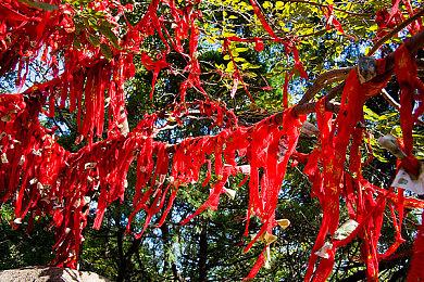 《绝地潜兵2》公布新战争债券通行证 超炫电弧霰弹枪